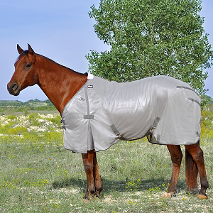 Econo Fly Sheet - Cashel